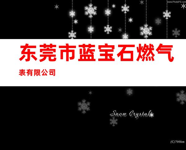 东莞市蓝宝石燃气表有限公司